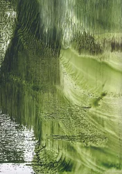 Organisk Green Flow