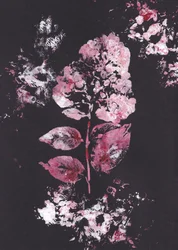 Rosa botanisk motiv