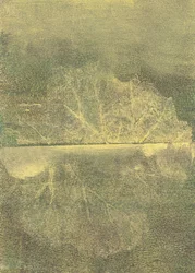 Subtil refleksjon av et blad