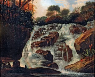 Stor Tijuca -foss