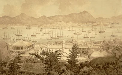 Hong Kong havn