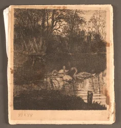 Motiv med svaner. Frederiksberg hage