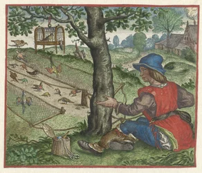 Fuglekikkerens fabel