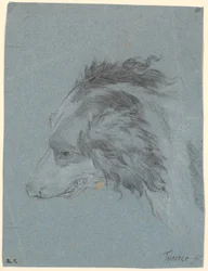 Et hundehode