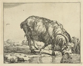 drikke geit Geiter og bukker (serietittel)