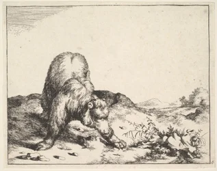 fra The Set of The Bears, ca. 1664.