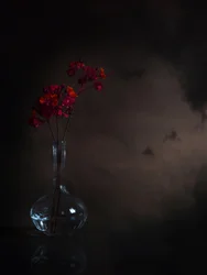 Stemningsfulle røde blomster