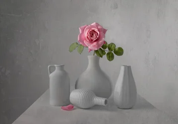 Stilleben med en delikat rosa rose