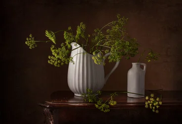 Stillbilde av dillblomster