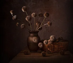 Jordnære tørkede blomster