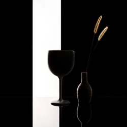 Minimalistisk svart-hvitt stilleben