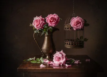 «Moody Rose» – stilleben