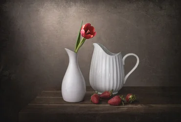 Rød tulipan og jordbær