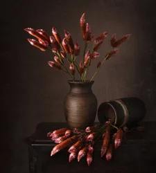 Rustikt blomsterstilleben