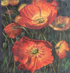 Første valmuer, 2020 (pastell)