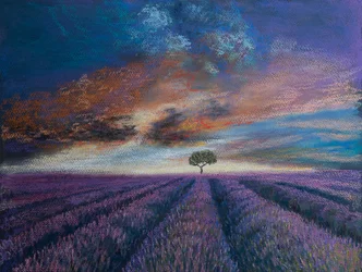 Lavendelfelt i Normandie, 2020 (pastell)