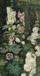 Stokroser, 1872