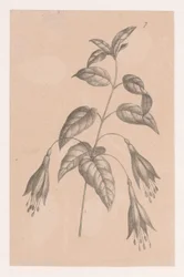 Gren med blomster
