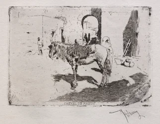 Marokkansk hest