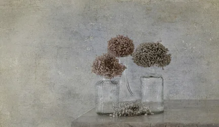 Rustikt stilleben med tørkede blomster