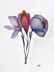 Fargerike akvarellblomster