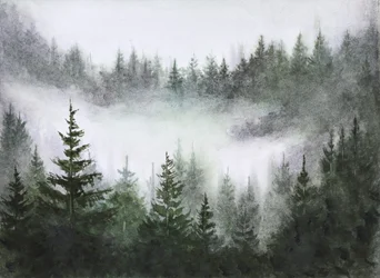 Ro i den tåkete skogen