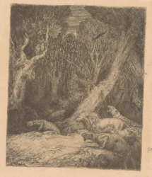 Ville dyr i skogen
