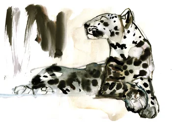 Arabisk leopard, 2008