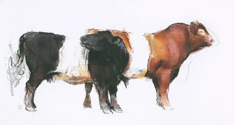 Belties, 2006 (kull und conte på papir)