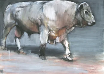 Fresno, Galloway Bull (blandet media på papir)
