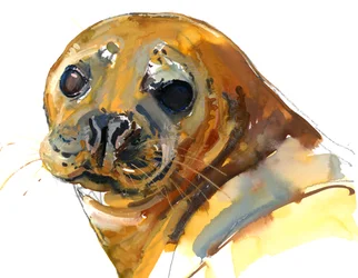Ginger Pup, Westcove, 2023