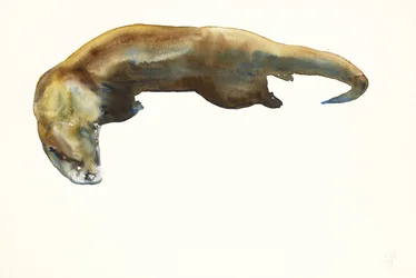 Gull, akvarell på papir (2014)