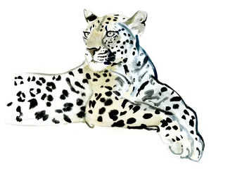 Poise, 2015, (akvarell på papir)