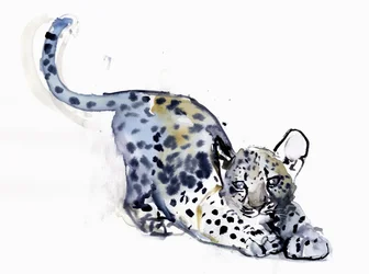 Stretching Cub (arabisk leopard), 2008