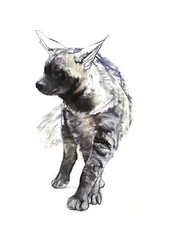 Striped Hyena Pup, 2010, (conté og pastell på papir)