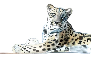 Tilt (arabisk leopard), 2015, (akvarell og gouache på papir)