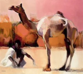 Dsu og Said, Rann of Kutch, 1996
