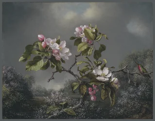 Epleblomster og kolibri, 1871