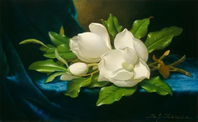 Giant Magnolias on a Blue Velvet Cloth, c. 1890.    1141043   no       norwegian Successfully Translated  Original: Cupidon chimiste. Peinture dun maitre russe, huile sur toile, seconde moitie du 18e siecle. State Art Museum, Ekaterinbourg (Iekaterinbourg)