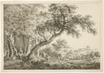 Vandrer som hviler i skogen