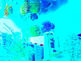 Hagearbeid