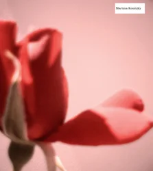 Rosenbladhjerte