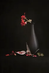 Knust vase med røde blomster