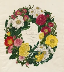En krans av roser, 1799.