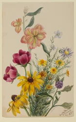 Gruppe av blomster