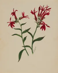 Uten tittel--Flower Study, 1876.