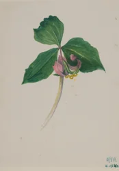 Uten tittel