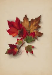 Uten tittel høstløv, 1874.