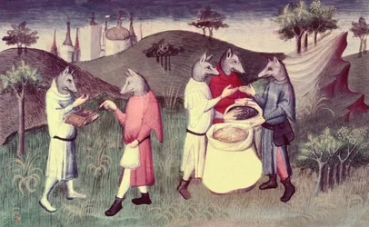 Folk av Andaman-cynocephali