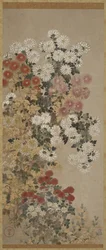 Krysantemum, hengende rulle (montert på panel), 1600-30 (farge på papir)
